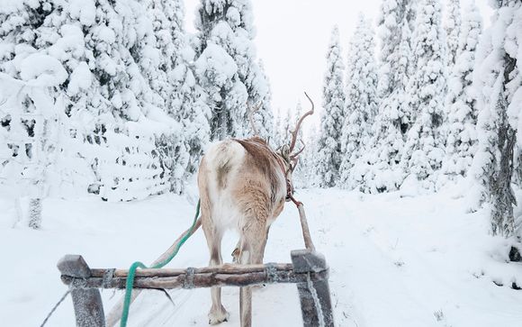 Willkommen in ... Lappland
