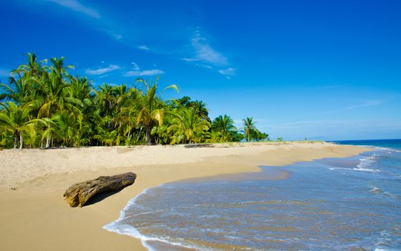 Ihre Reise im Überblick