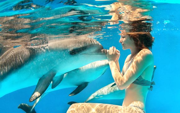 Ihre Optionen in Mauritius