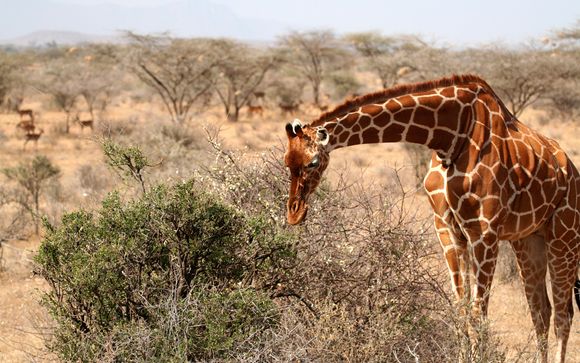 Willkommen in... Kenia und Sansibar!