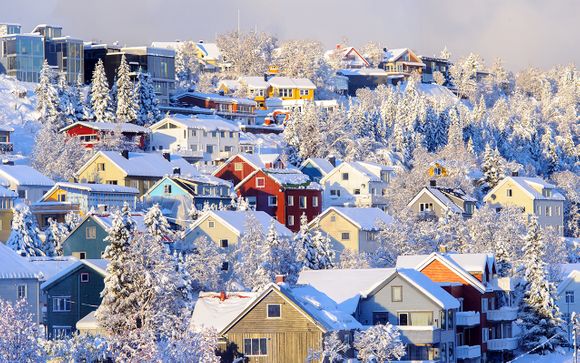 Ihre Reiseroute im Detail