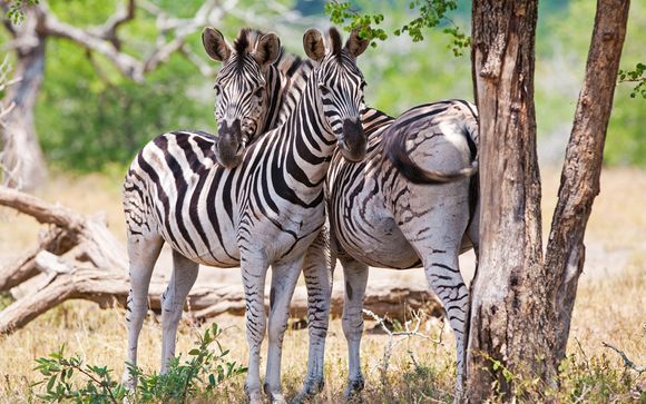 Ihre Rundreise im Überblick