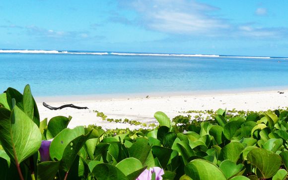 Ihre Rundreise im Detail