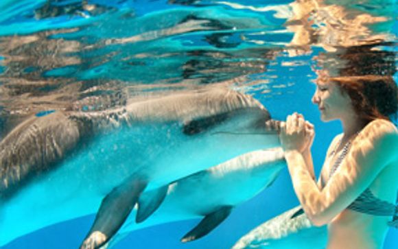 Mettez une option sur l'évasion