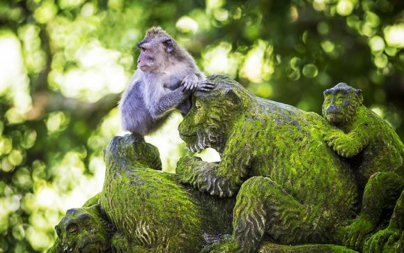 Willkommen auf... der Insel Bali!