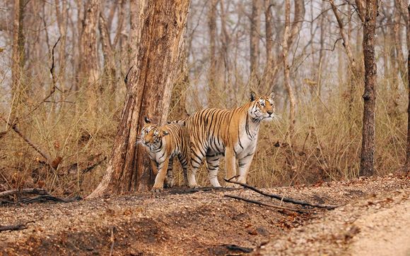 Ihre Rundreise im Detail