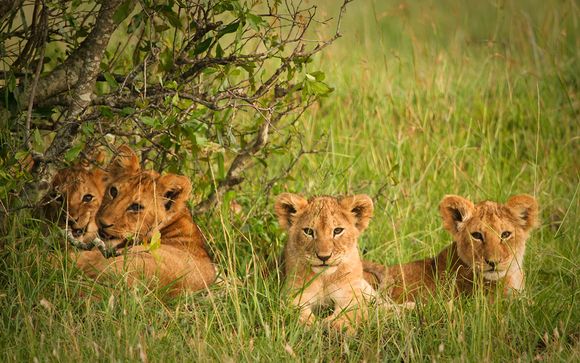 Ihre Rundreise im Detail