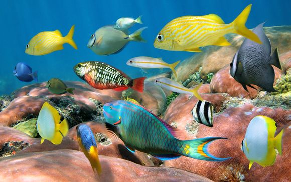 Et pour aller plus loin...