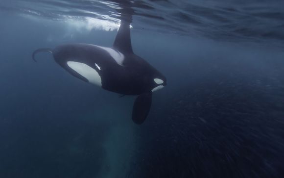 Ihre Rundreise im Detail