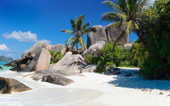 Ihre Kreuzfahrt im Detail