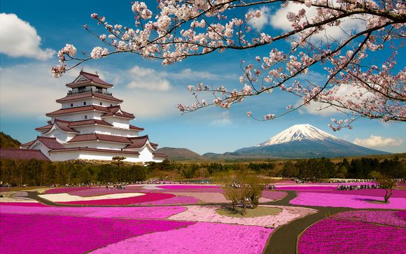 Ihre Rundreise im Detail