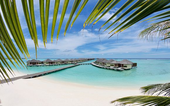 Willkommen in... Sri Lanka und auf den Malediven!