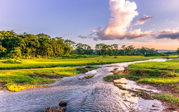 Ihre Rundreise im Detail