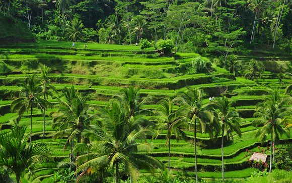 Willkommen auf... Bali!
