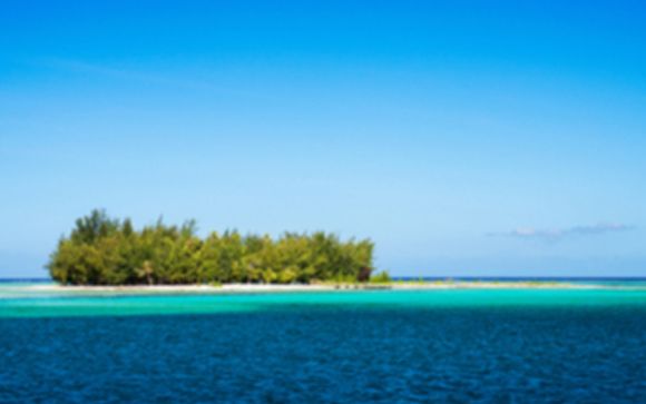 Ihre Informationen zum Transport