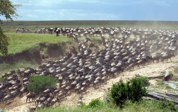 Ihre Rundreise im Detail