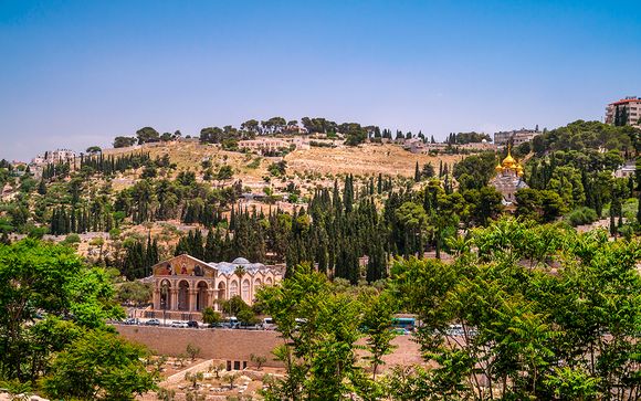 Ihre Reise im Detail