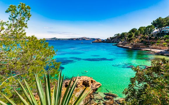 Willkommen auf... Mallorca!