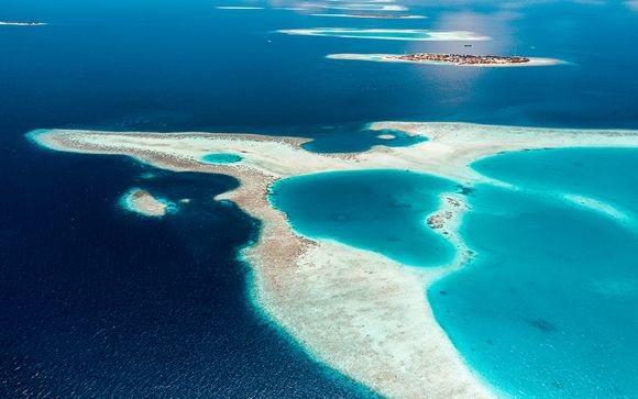 Ihre Kreuzfahrt im Detail