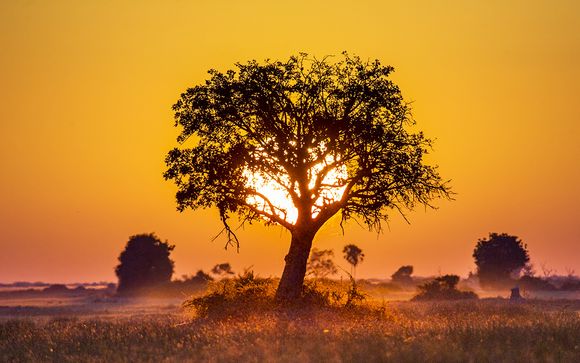Willkommen in... Botswana