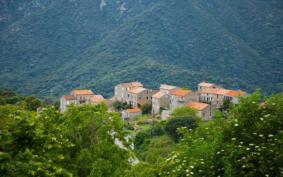 Ihre Rundreise im Detail