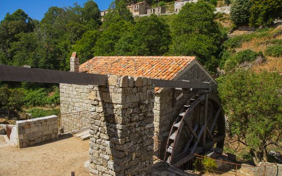 Ihre Rundreise im Detail