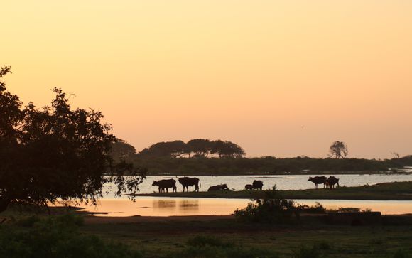 Willkommen in... Sri Lanka!