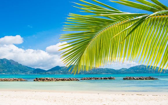 Ihre Kreuzfahrt im Überblick