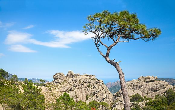 Ihre Rundreise im Detail