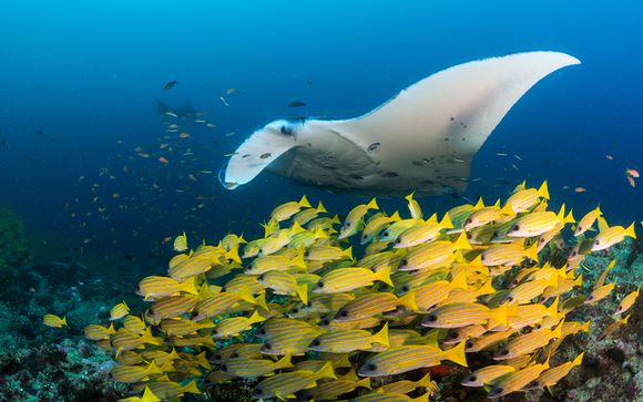 Ihre Kreuzfahrt im Detail