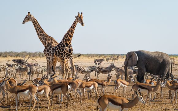 Ihre Rundreise im Detail