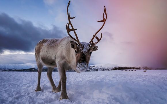 Ihre Ausflugsoptionen