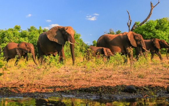 Ihre Rundreise im Detail