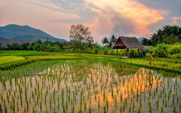 Ihre Rundreise im Detail