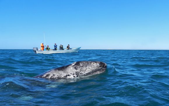 Ihre Rundreise im Detail