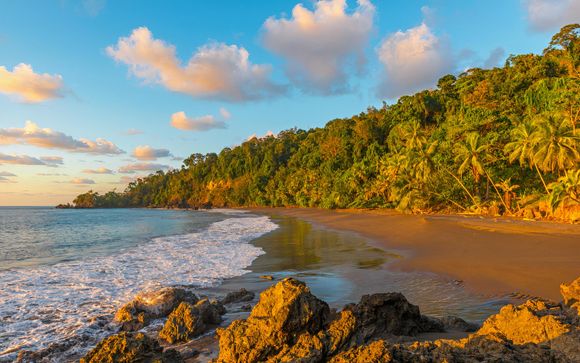 Ihre Reise im Detail