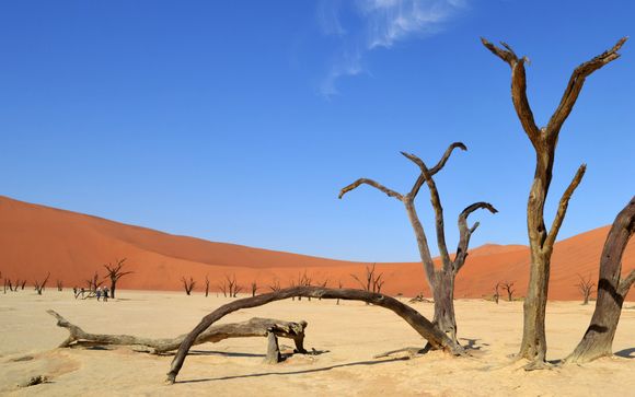 Ihre Rundreise im Detail