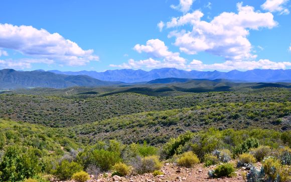 Ihre Rundreise im Detail