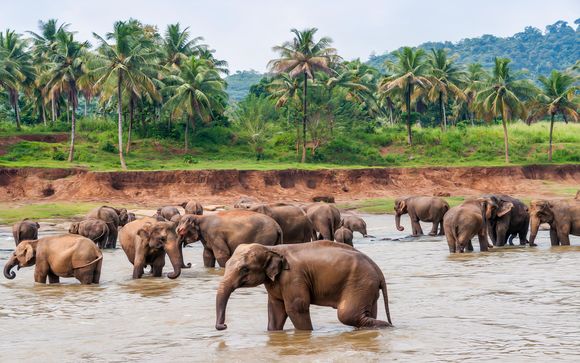 Ihre Rundreise im Detail