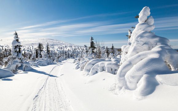 Ihre Rundreise im Überblick