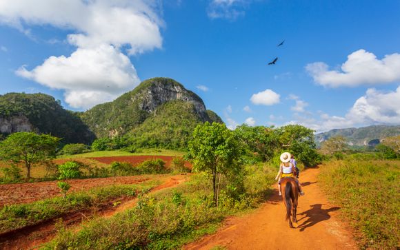 Im Angebot enthalten