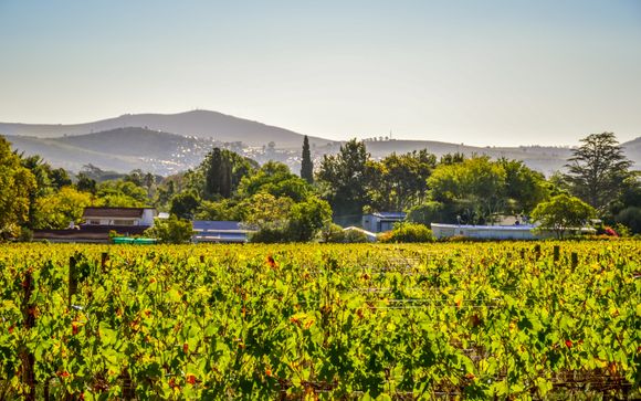 Im Angebot enthalten