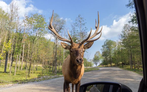 Im Angebot enthalten