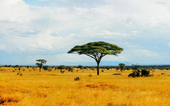 Willkommen in Kenia und auf Sansibar