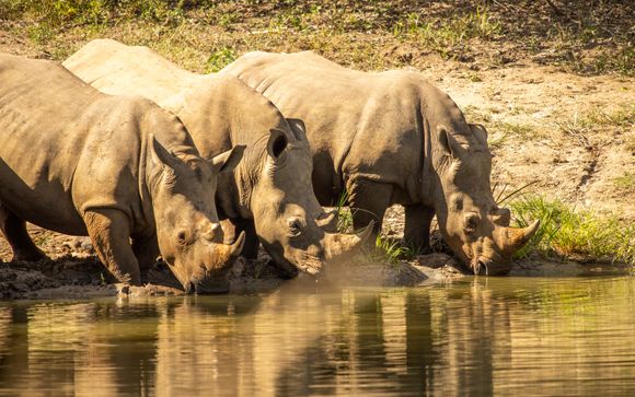 Ihre Rundreise im Detail