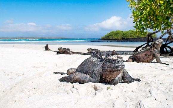 Ihre Reise im Detail