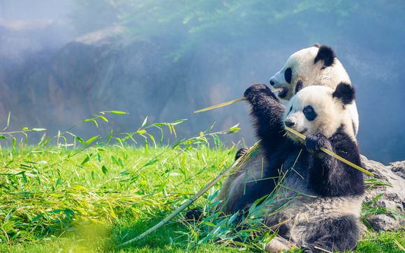 Ihre Rundreise im Detail