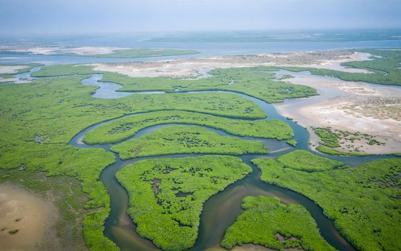 Willkommen im... Senegal!