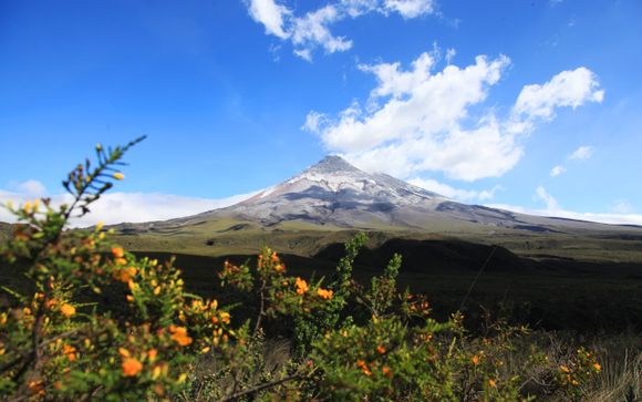 Ihre Reise im Detail