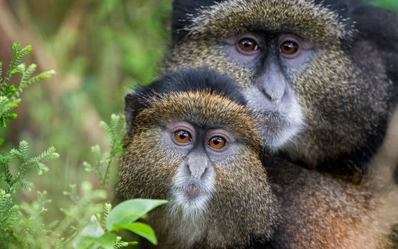 Ihre Reise im Detail